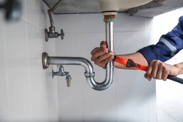 Best Toilet Repair Services  in Laporte, CO