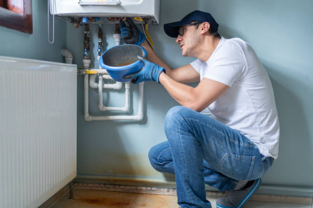 Best Local Plumber Services  in Laporte, CO