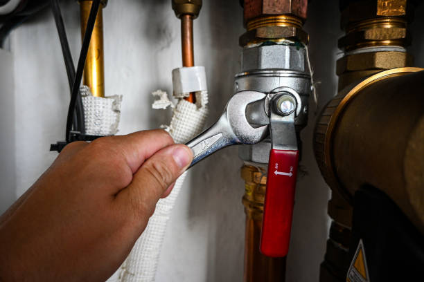 Best Residential Plumbing Services  in Laporte, CO